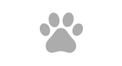  Icon for Pet House